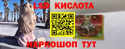 шишки Партизанск
