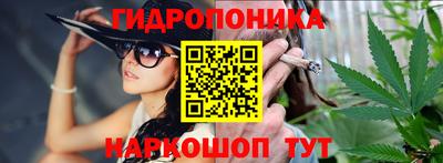 шишки Партизанск