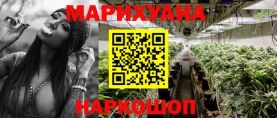 шишки Партизанск