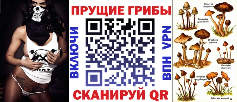 Псилоцибиновые грибы прущие грибы  Советский 